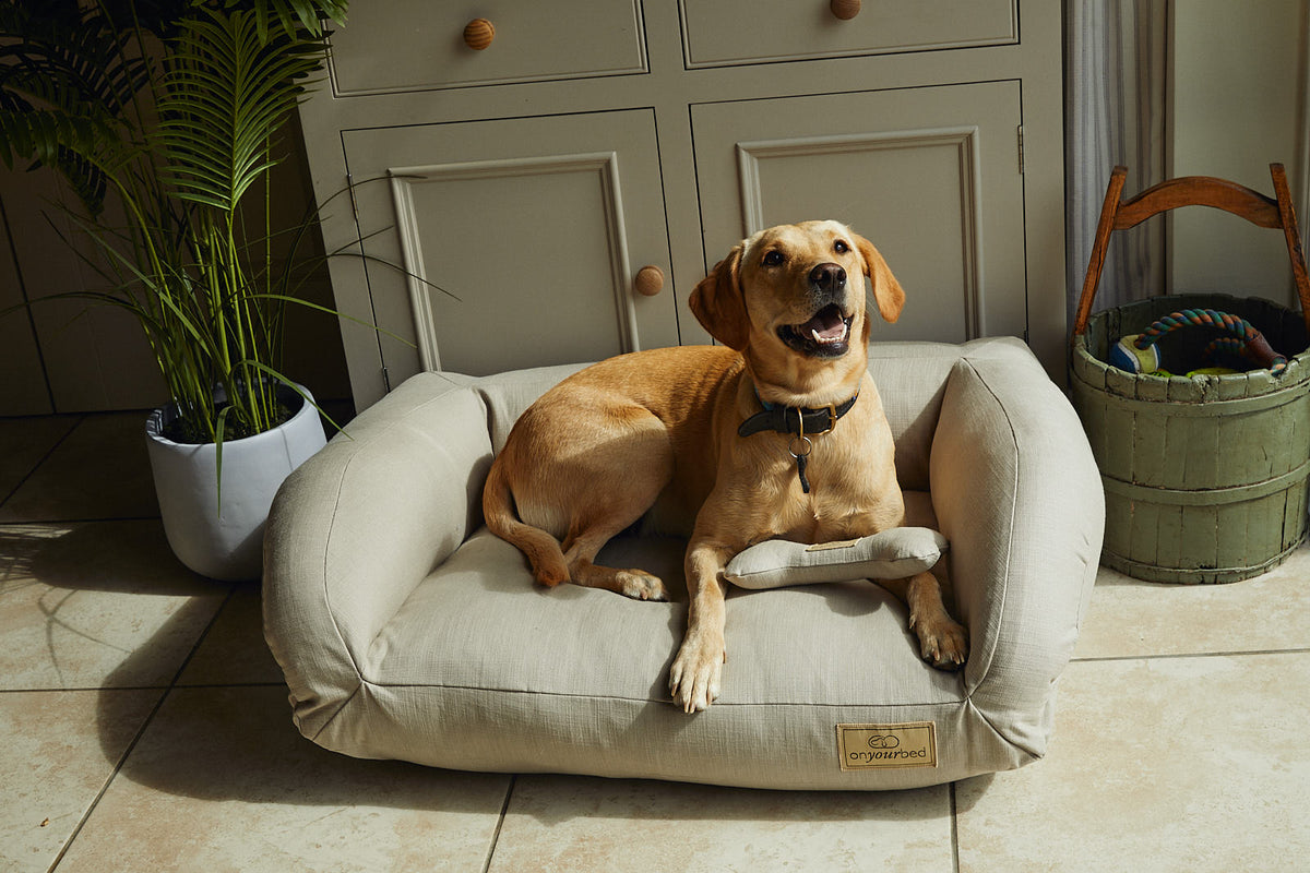 The Amberley Luxury Dog Sofa Medium – Onyourbed