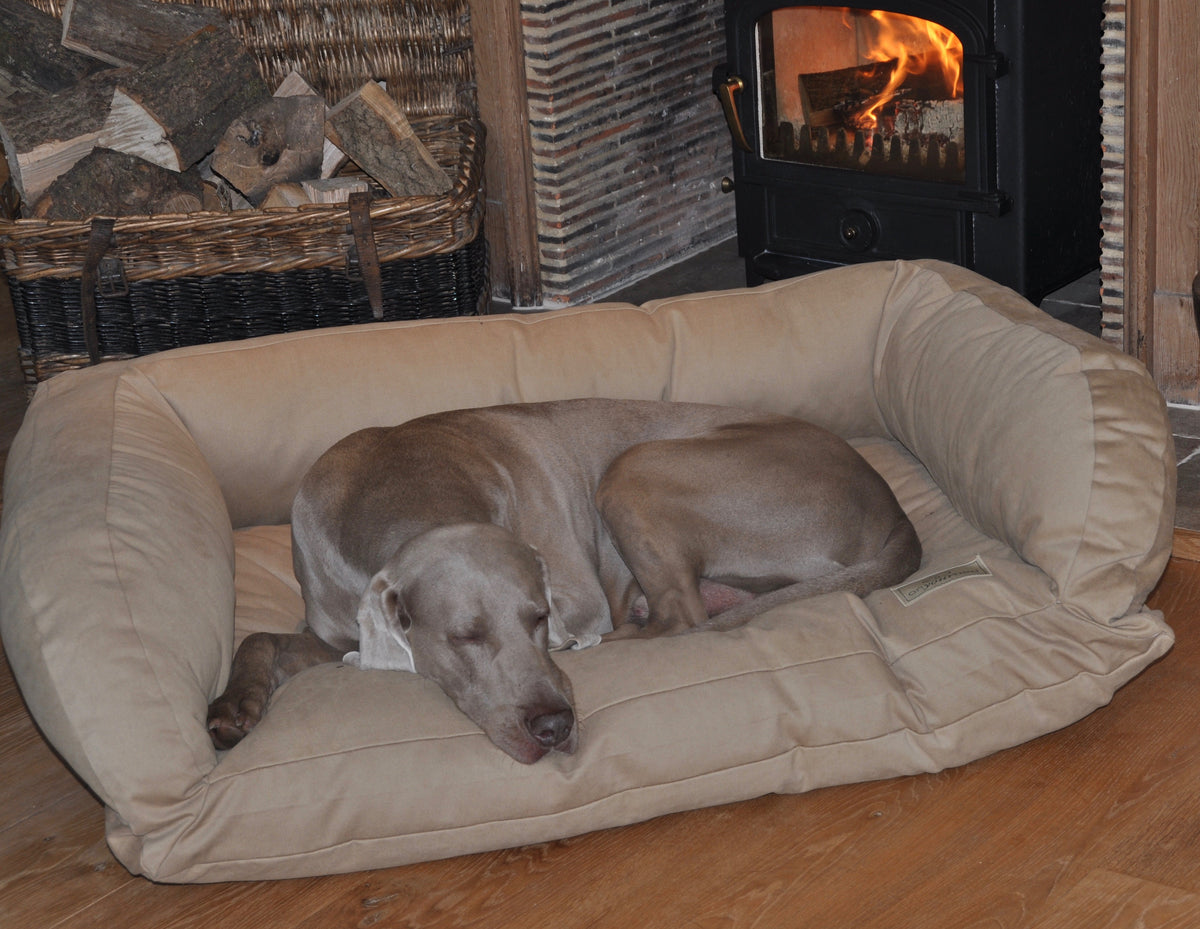 Best dog bed for great dane clearance